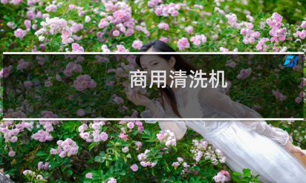 商用清洗机 - 商用毛辊清洗机