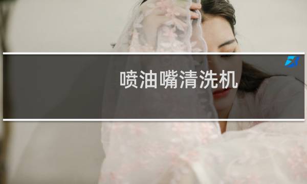 喷油嘴清洗机 - 喷油嘴清洗机泵头