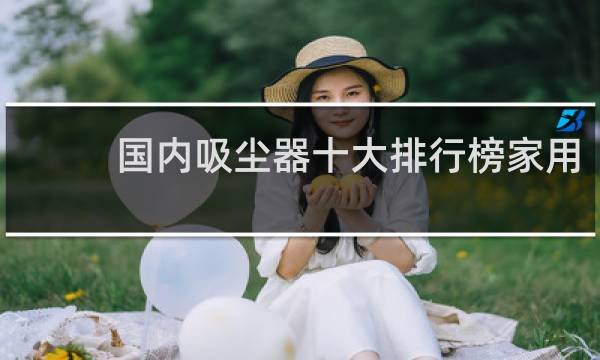 国内吸尘器十大排行榜家用 - 家用吸尘器排行榜10强