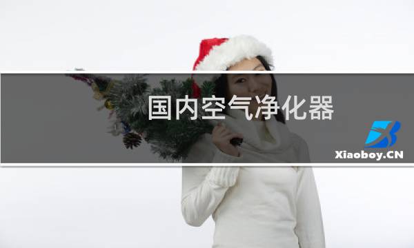 国内空气净化器 - 国内空气净化器哪个好