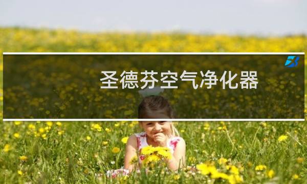 圣德芬空气净化器 - 圣德芬空气净化器使用说明