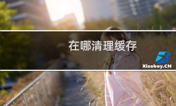 在哪清理缓存 - 缓存清理在哪里找