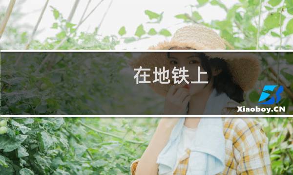 在地铁上 - 地铁里一点一点的进入有反应