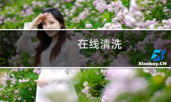 在线清洗 - 井下作业在线清洗