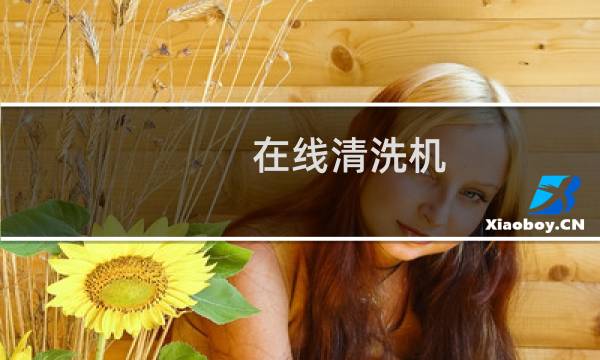 在线清洗机 - 在线式清洗设备
