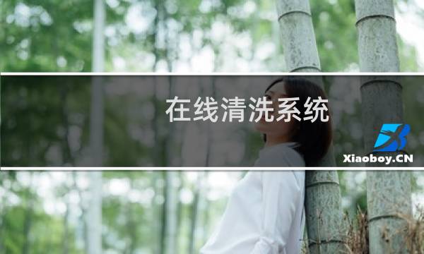 在线清洗系统 - 全自动管刷在线清洗装置