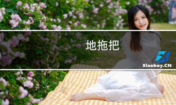 地拖把 - 地拖价格