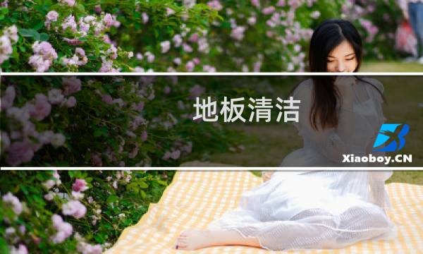 地板清洁 - 木地板清洁小窍门