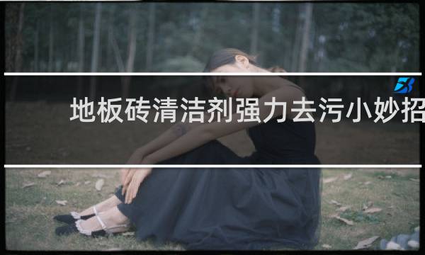 地板砖清洁剂强力去污小妙招 - 清洁地面砖的小窍门