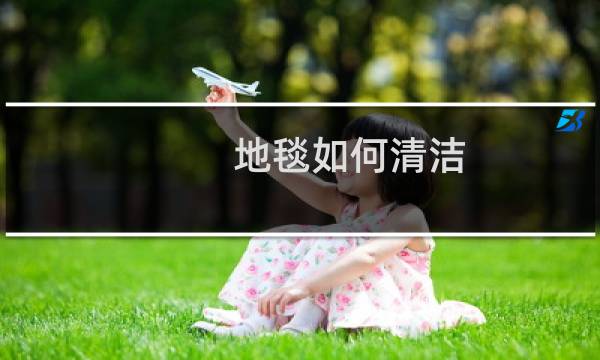 地毯如何清洁 - 自家地毯如何清洁