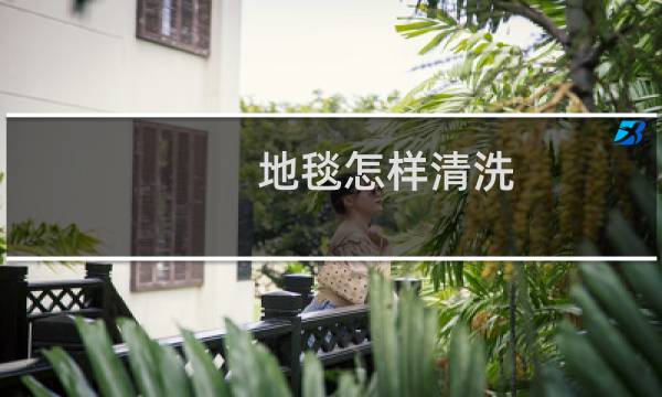 地毯怎样清洗 - 自己可以清洗地毯吗