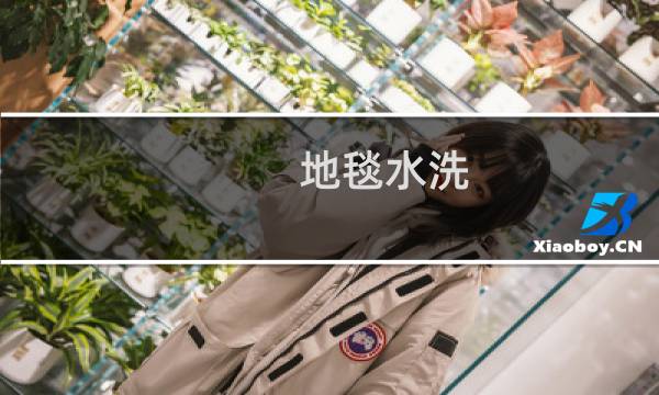 地毯水洗 - 地毯脏了可不可以拿水洗