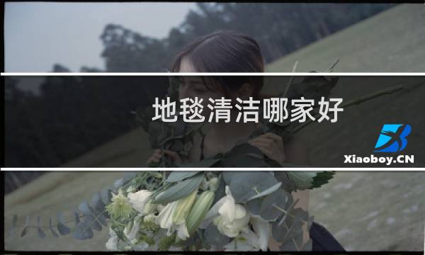 地毯清洁哪家好 - 地毯清洁剂十大排名
