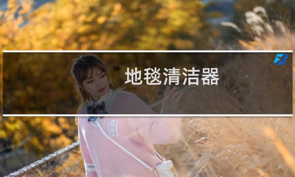地毯清洁器 - 地毯清洗机器