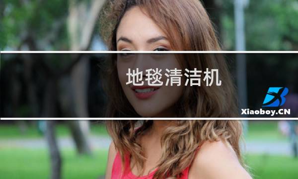 地毯清洁机 - 地毯清洗机器