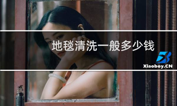 地毯清洗一般多少钱 - 2米3米的地毯清洗多少钱