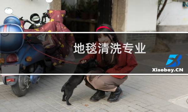 地毯清洗专业 - 附近清洗地毯