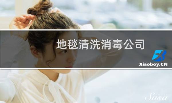 地毯清洗消毒公司 - 附近清洗地毯