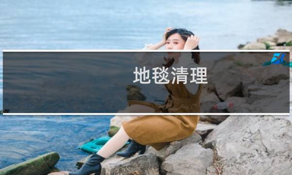 地毯清理 - 水洗地毯怎么洗