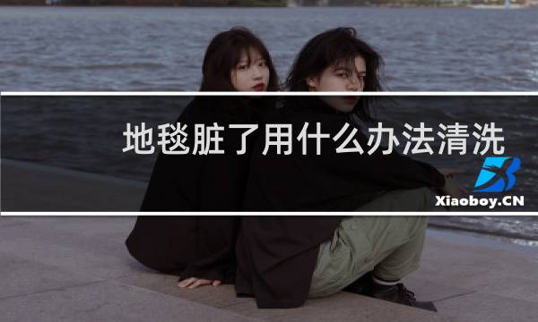 地毯脏了用什么办法清洗 - 千万不要在家里铺地毯