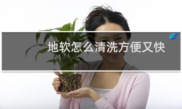 地软怎么清洗方便又快 - 刚捡回来的地软能吃吗