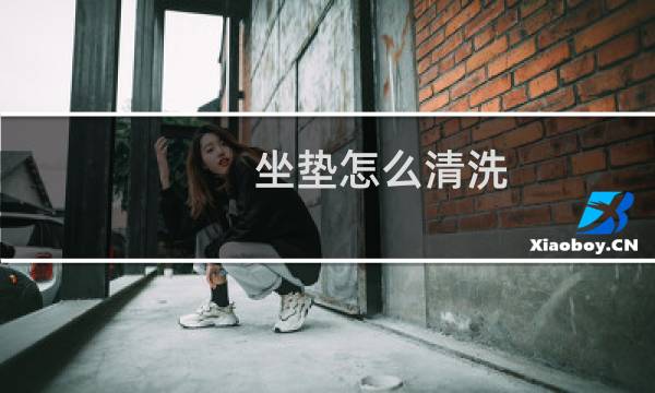 坐垫怎么清洗 - 带籽的坐垫怎么清洗
