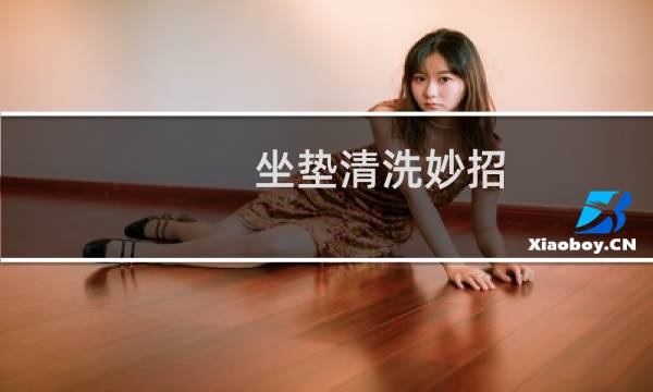 坐垫清洗妙招 - 带籽的坐垫怎么清洗