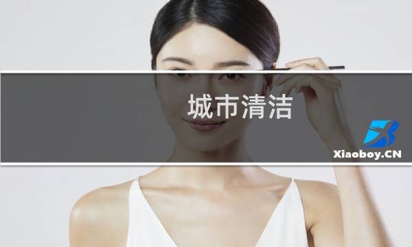 城市清洁 - 城市清洁行动开展情况