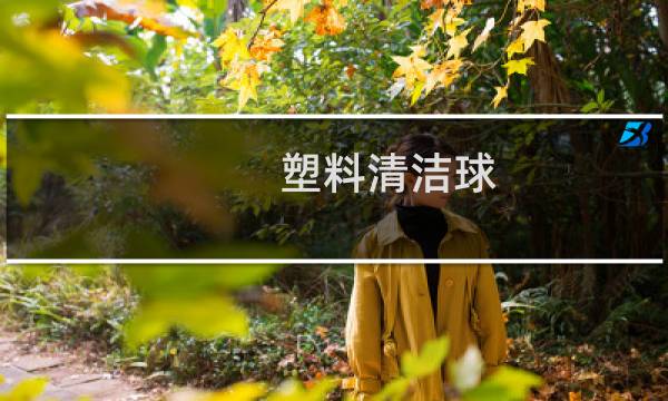 塑料清洁球 - 塑料清洁球硅胶