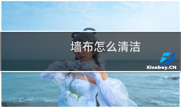 墙布怎么清洁 - 墙布保养及清洁