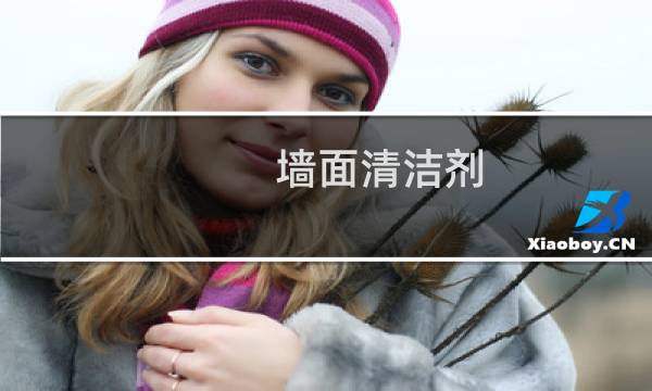 墙面清洁剂 - 墙面漆清洁剂