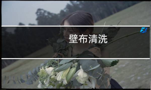 壁布清洗 - 墙布脏了怎么清洗
