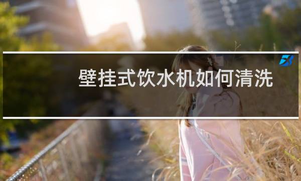 壁挂式饮水机如何清洗 - 壁挂式直饮机怎么清洗