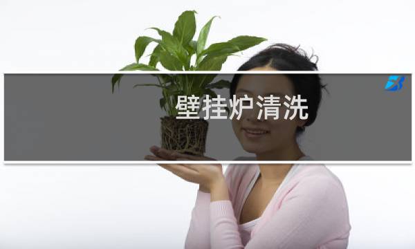 壁挂炉清洗 - 自己动手清洗燃气壁挂炉教程