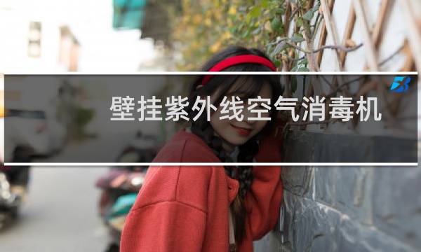 壁挂紫外线空气消毒机 - 壁挂式空气消毒机说明书