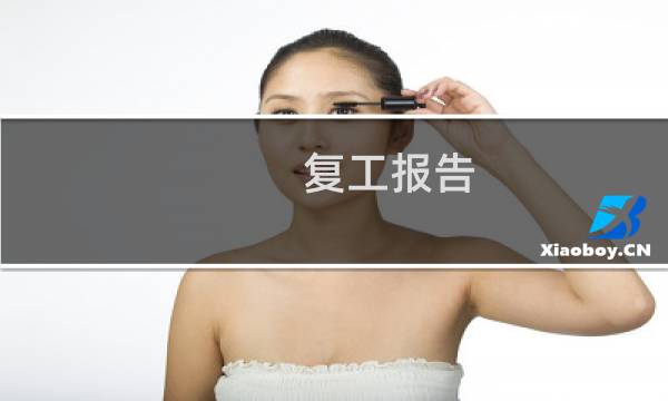复工报告 - 被停工后复工申请报告