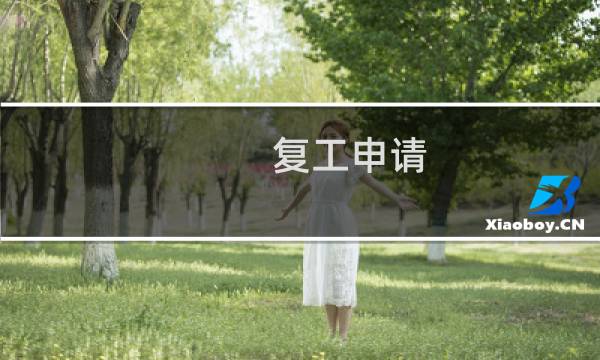 复工申请 - 被停工后复工申请报告
