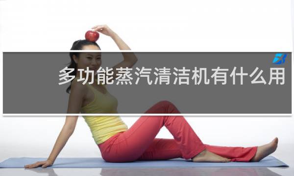 多功能蒸汽清洁机有什么用 - 高温蒸汽清洗机骗局