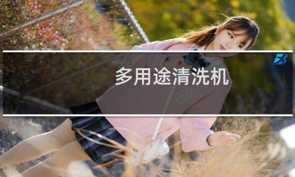 多用途清洗机 - 多功能一体清洗机多少钱