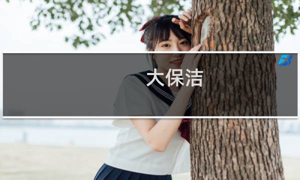 大保洁 - 新房大保洁