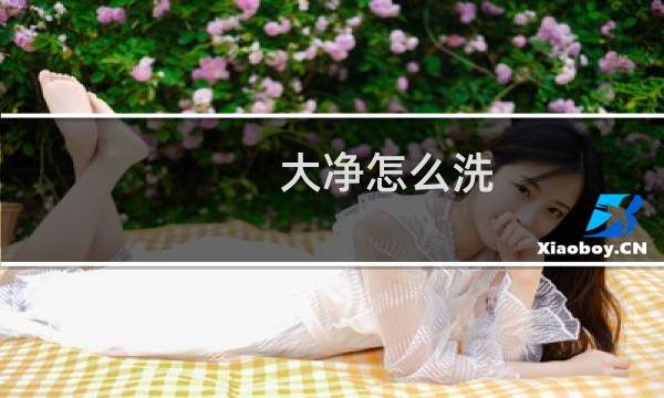 大净怎么洗 - 大小净洗法顺序图片