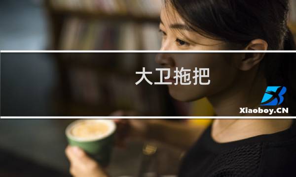 大卫拖把 - 买大卫拖把头