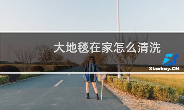 大地毯在家怎么清洗 - 在家自己怎么洗地毯
