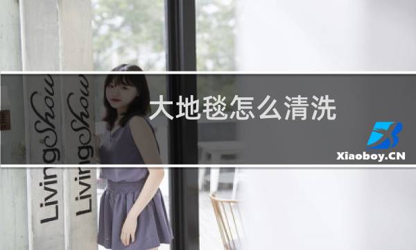 大地毯怎么清洗 - 大块地垫在家怎么清洗