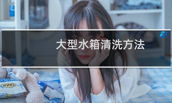 大型水箱清洗方法 - 如何自己清洗汽车水箱
