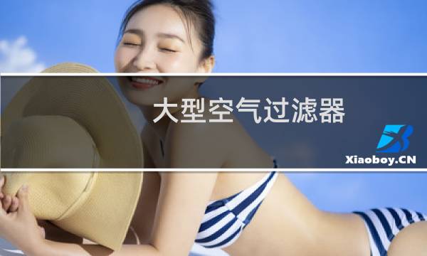 大型空气过滤器 - 大型空气过滤系统