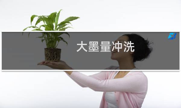 大墨量冲洗 - 大墨量冲洗需要多少墨水