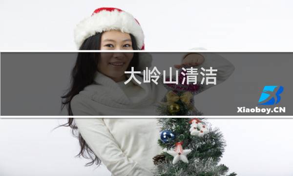 大岭山清洁 - 大岭山清洁行大