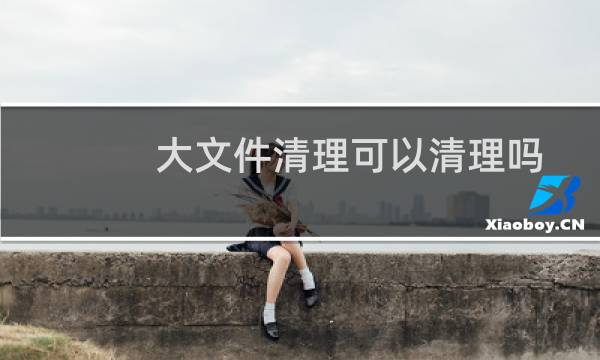 大文件清理可以清理吗 - 手机里的大文件能不能删