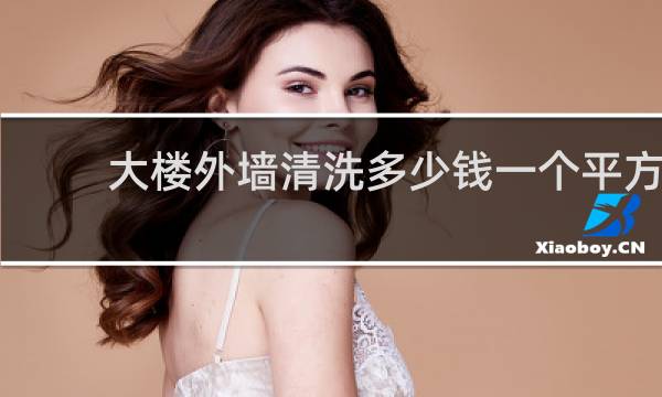 大楼外墙清洗多少钱一个平方 - 别墅外墙清洗多少钱一平方